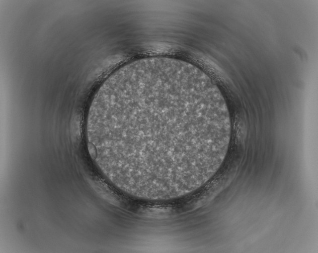 X0000112850546200910021253