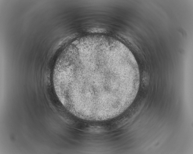 X0000112850547200910021253