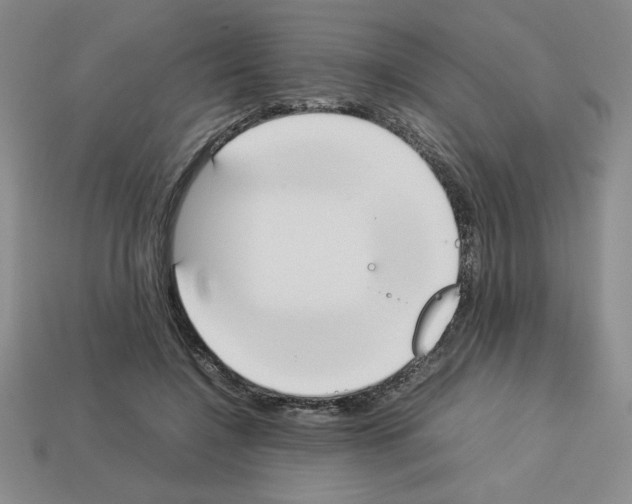 X0000112850548200910021253