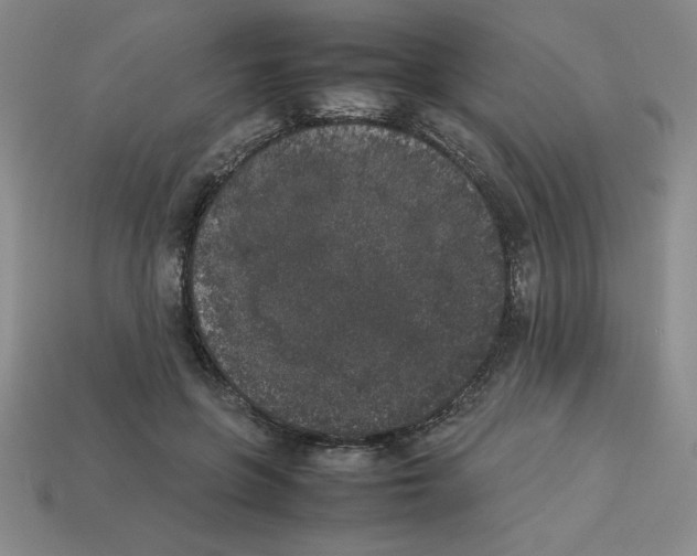 X0000112850551200910021253