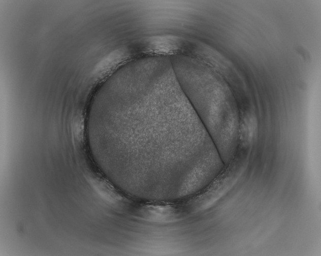 X0000112850552200910021253