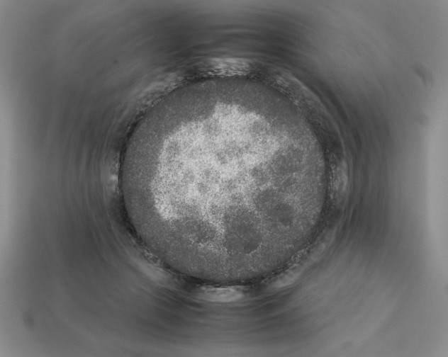 X0000112850553200910021253