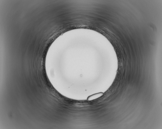 X0000112850556200910021253