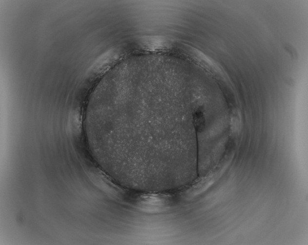 X0000112850558200910021253