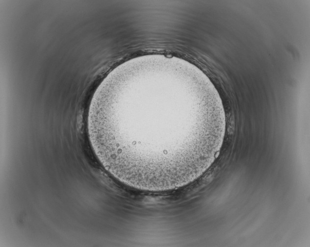 X0000112850560200910021253