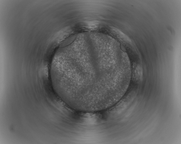 X0000112850562200910021253