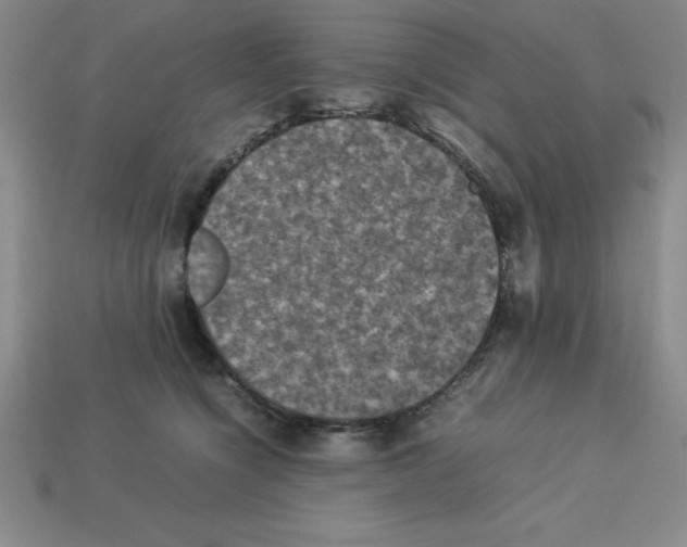 X0000112850564200910021253