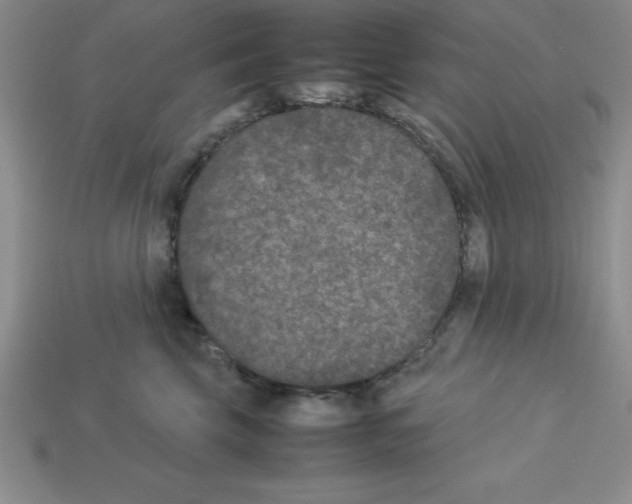 X0000112850569200910021253