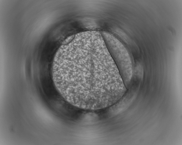 X0000112850572200910021253