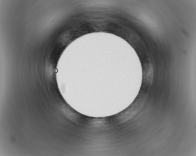 X0000112850574200910021253