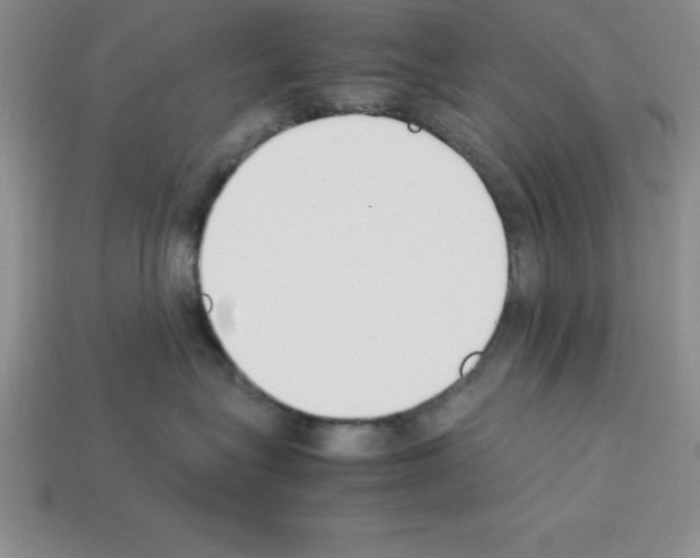 X0000112850575200910021254