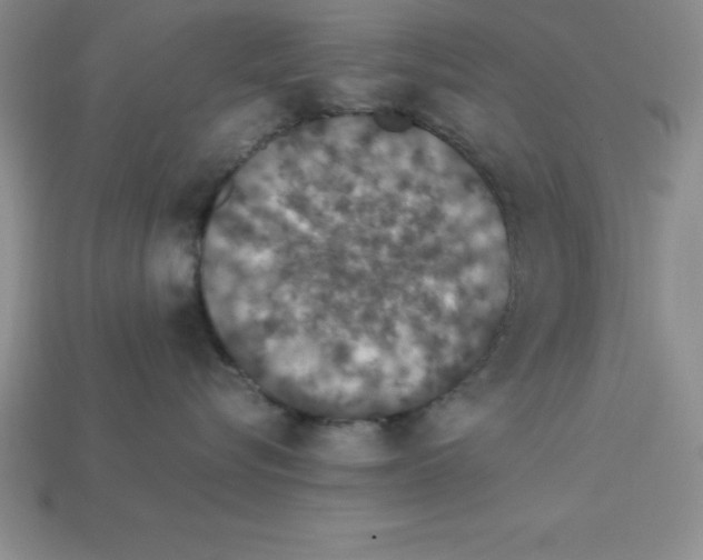 X0000112850576200910021254