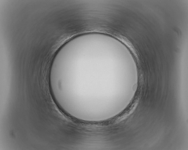 X0000112850577200910021253