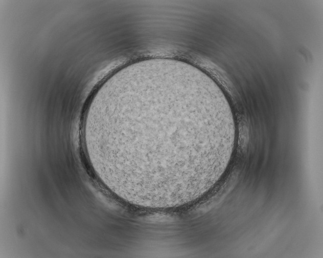 X0000112850578200910021253