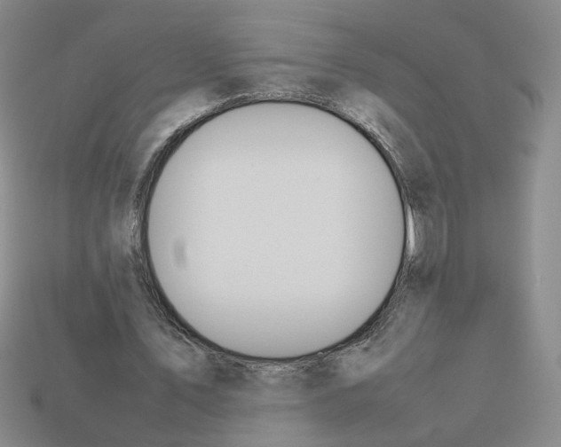 X0000112850579200910021253