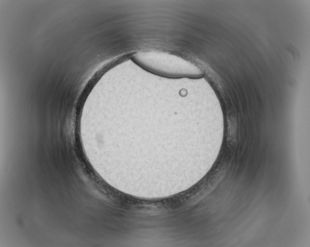 X0000112850580200910021253