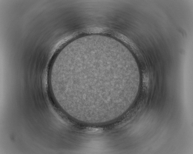 X0000112850582200910021253