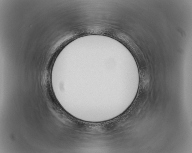 X0000112850583200910021253