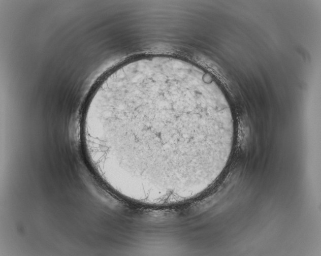 X0000112850584200910021253