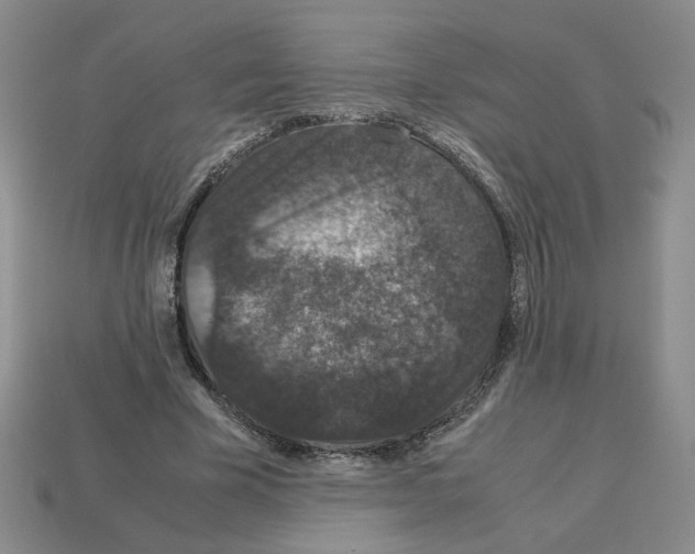 X0000112850585200910021253