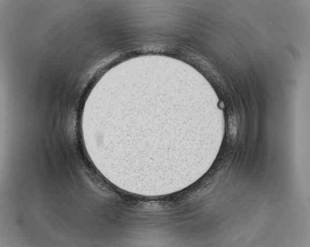 X0000112850588200910021253