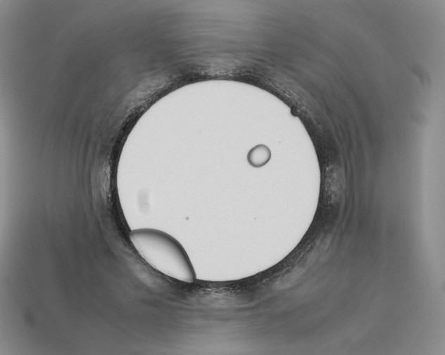 X0000112850589200910021253