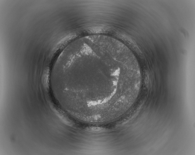 X0000112850590200910021253