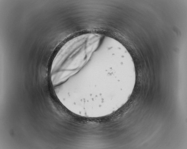 X0000112850592200910021253