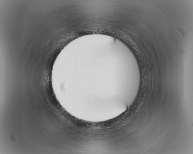 X0000112850593200910021253