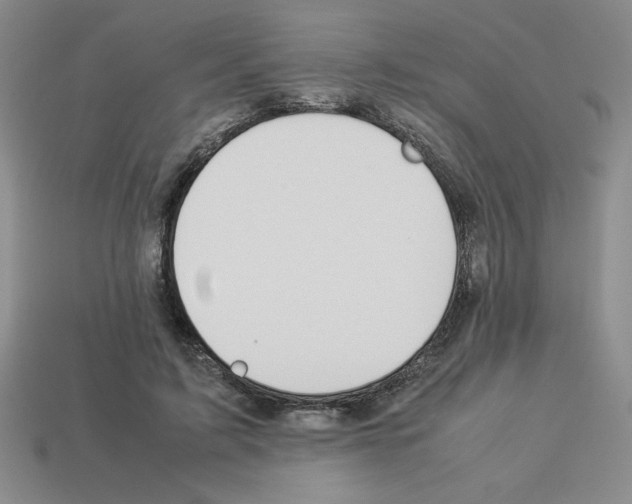 X0000112850595200910021253