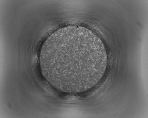 X0000112850597200910021253