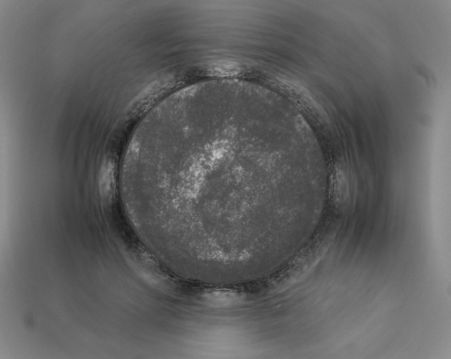 X0000112850598200910021253