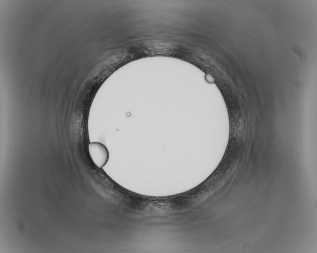 X0000112850599200910021253