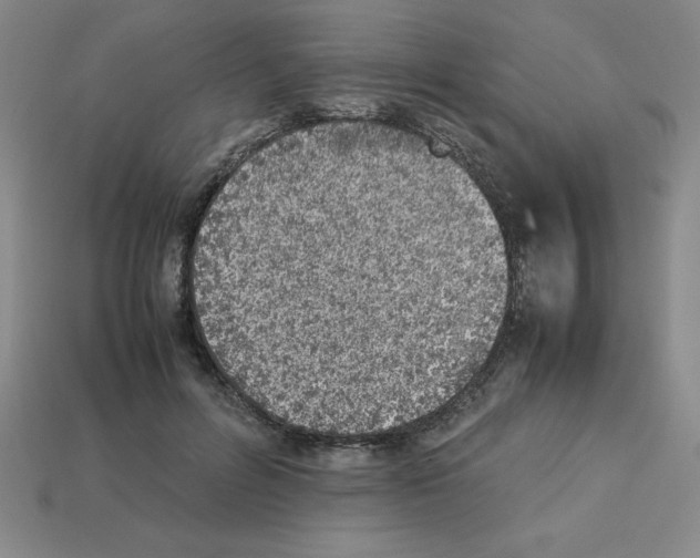 X0000112850600200910021253