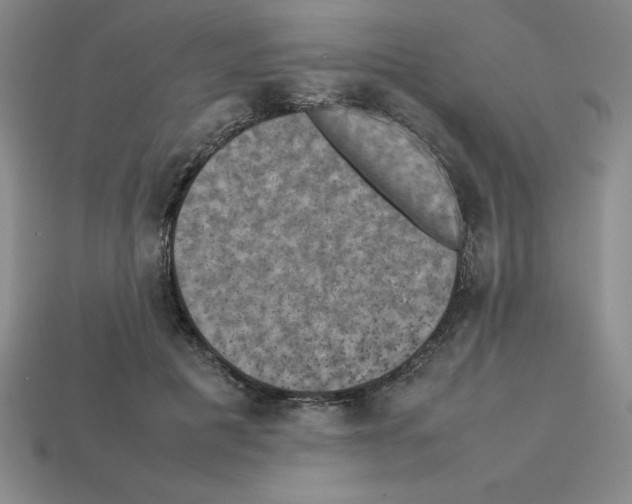 X0000112850601200910021253