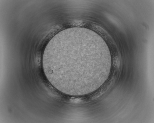 X0000112850602200910021253