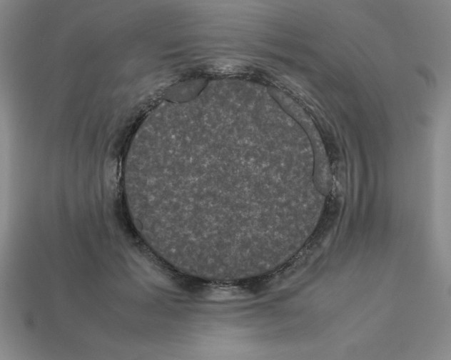 X0000112850605200910021253