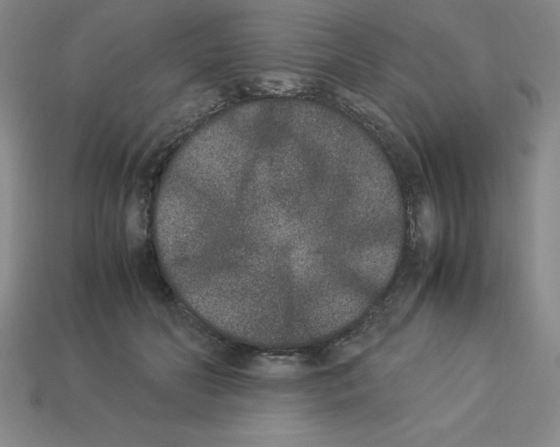 X0000112850606200910021253