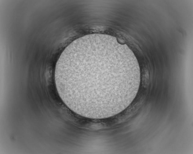 X0000112850608200910021253