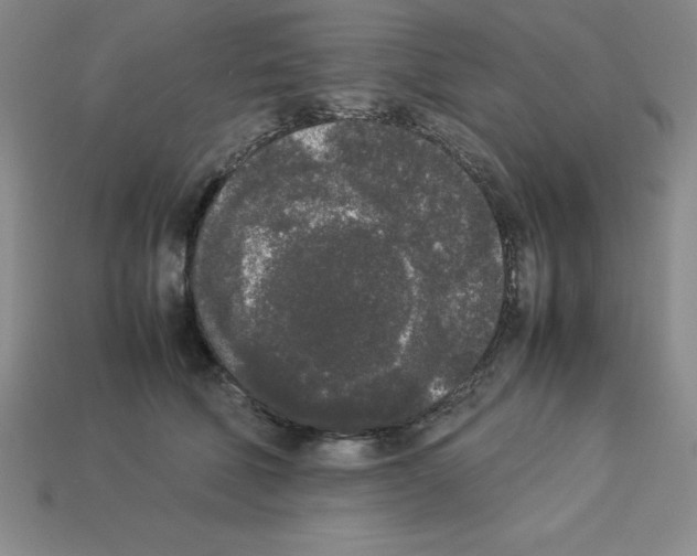 X0000112850610200910021252