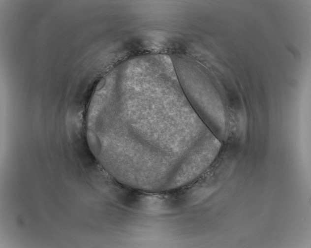 X0000112850611200910021252