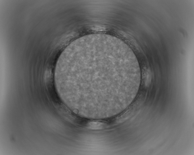 X0000112850614200910021252