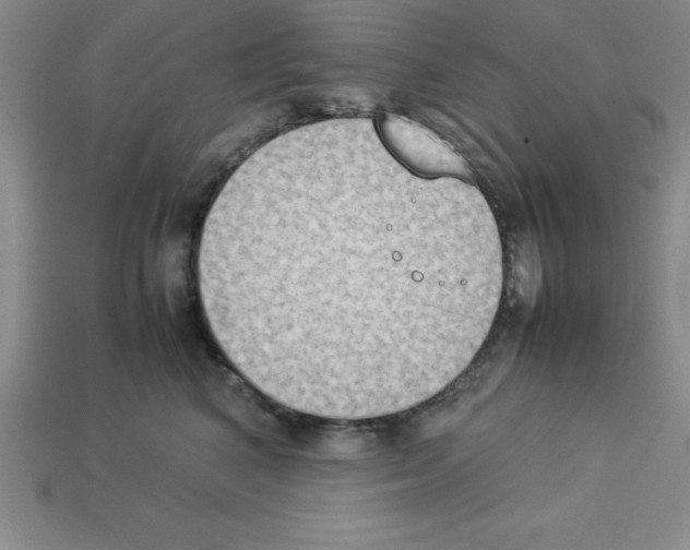 X0000112850616200910021252