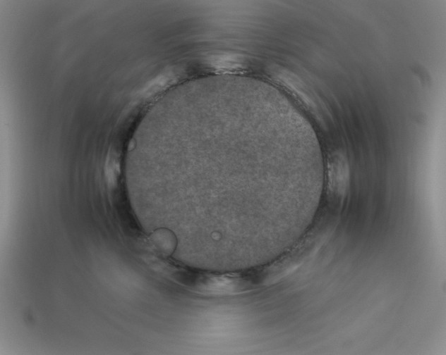 X0000112850618200910021252