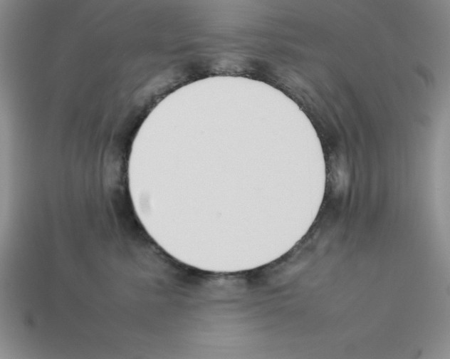 X0000112850619200910021252