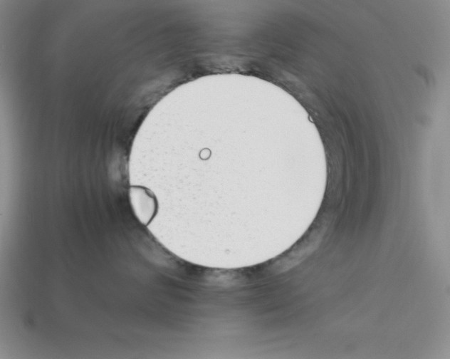 X0000112850624200910021252