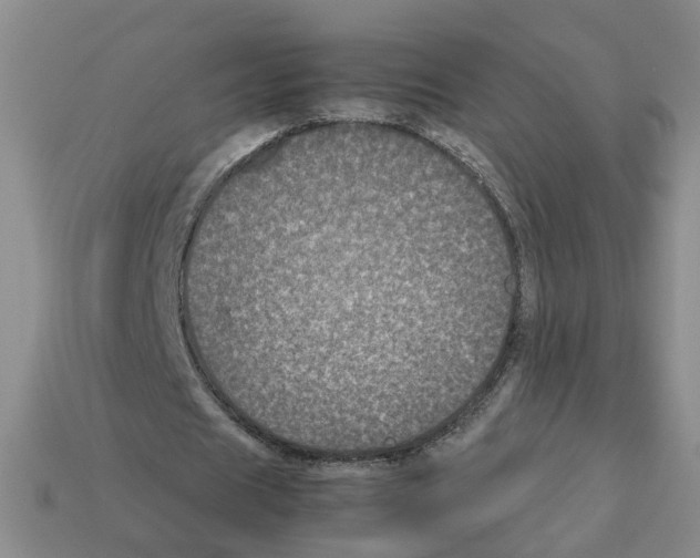 X0000112850625200910021252