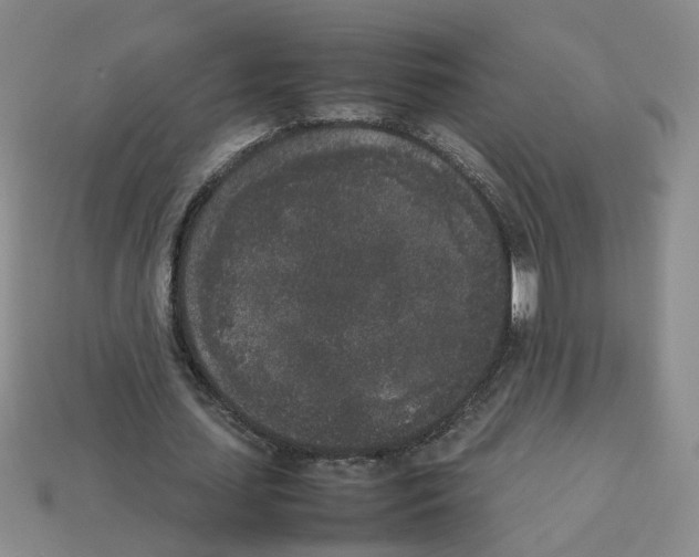 X0000112850627200910021252