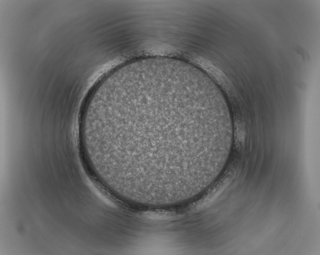 X0000112850630200910021252