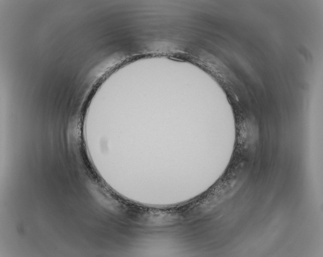 X0000112850632200910021252